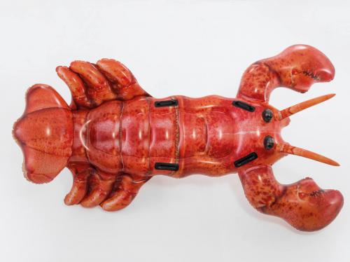 Лобстер (213х137см) 6 шт/упак 57533 - фото 2