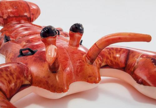 Лобстер (213х137см) 6 шт/упак 57533 - фото 4